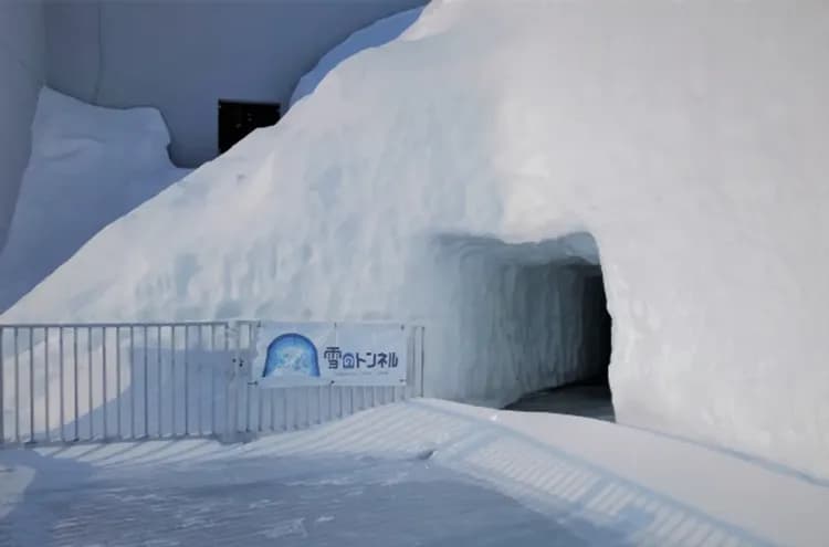 花現雪壁亮晶晶~立山黑部、合掌村兼六園、初夏紫陽花祭、馬籠宿溫泉香五日-9