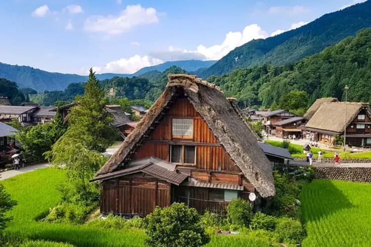 白川鄉合掌村(世界文化遺產)