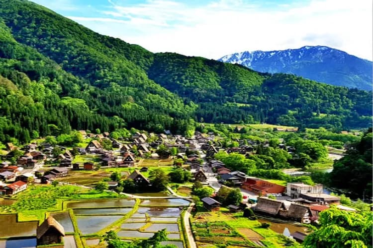 KHH雪壁傳奇~立山黑部、合掌村兼六園、宇治抹茶香、上高地溫泉香六日-6