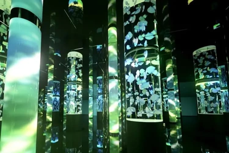 DMM KARIYUSHI水族館(豊崎購物商城)