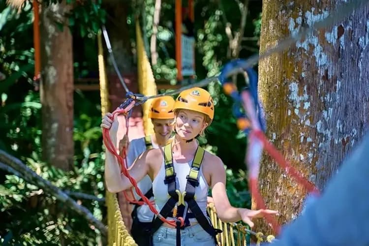 叢林飛躍體驗(共17站,含一杯飲料,全程約60分鐘)