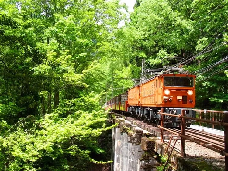 三零深度北陸全覽8日|限量立山雪牆~上高地輕健行!黑部峽谷鐵道.合掌村古民家.金箔體驗.伊勢神宮|四晚溫泉.兩晚萬怡-8