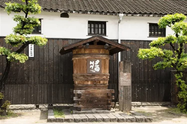 春櫻岡山四國|保住小豆島飯店|旭川櫻花道.丸龜城.金刀比羅宮.松山城.寒霞溪纜車.大步危遊覽船.小豆島.DIY烏龍麵.道後溫泉五日-6