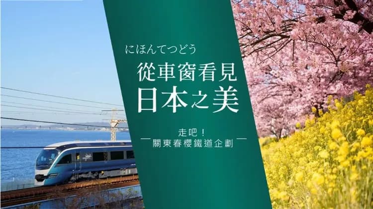 輕奢行│關東春櫻雙鐵道│伊豆河津櫻花祭.豪華列車SAPHIR踴子號.熱海MOA美術館.箱根登山電車|星野溫泉6日-8