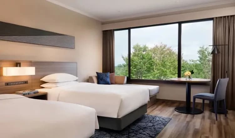 輕奢行│關東春櫻雙鐵道│伊豆河津櫻花祭.豪華列車SAPHIR踴子號.熱海MOA美術館.箱根登山電車|星野溫泉6日-13