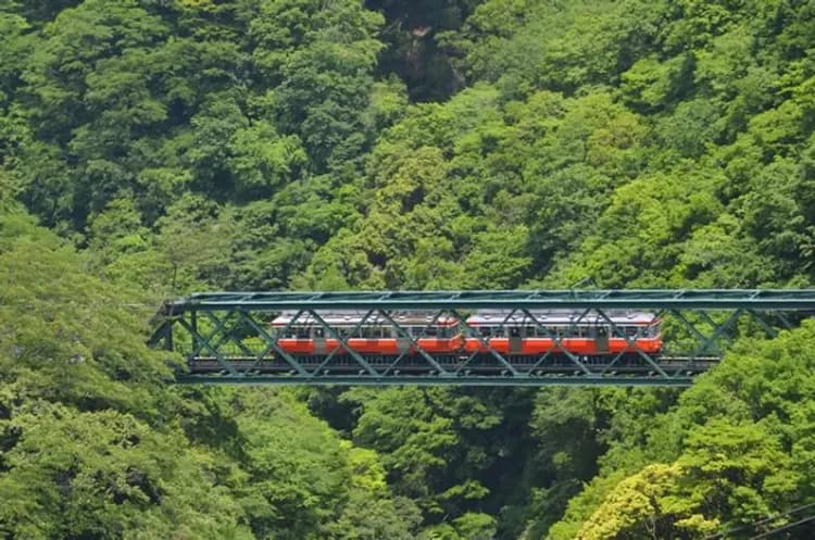 輕奢行│關東春櫻雙鐵道│伊豆河津櫻花祭.豪華列車SAPHIR踴子號.熱海MOA美術館.箱根登山電車|星野溫泉6日-10