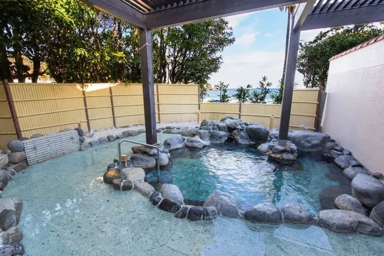 輕奢行│關東春櫻雙鐵道│伊豆河津櫻花祭.豪華列車SAPHIR踴子號.熱海MOA美術館.箱根登山電車|星野溫泉6日-8