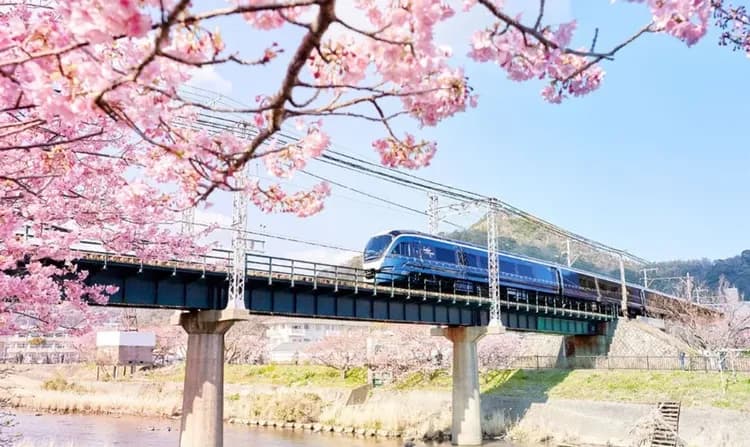 輕奢行│關東春櫻雙鐵道│伊豆河津櫻花祭.豪華列車SAPHIR踴子號.熱海MOA美術館.箱根登山電車|星野溫泉6日-9