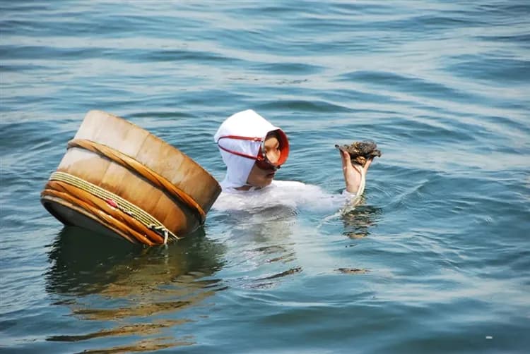 輕奢詠萬豪|關西近鐵志摩之風|三宿萬豪.米其林星宴.MIHO粉櫻隧道.櫻百選名所.伊勢溫泉雅旅|5日-6