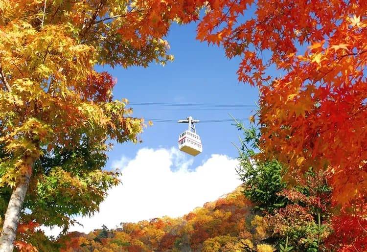 春櫻北陸|台灣虎航|百選賞櫻.足羽川櫻河畔.犬山城.合掌村.兼六園.鶴舞公園.螃蟹五日|兩晚溫泉|高雄來回-7