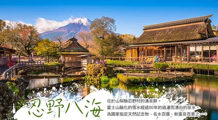 東京旅遊|台灣虎航|戲雪.迪士尼.小江戶佐原.山中湖遊船.忍野八海.登上晴空塔五日|高雄來回-11