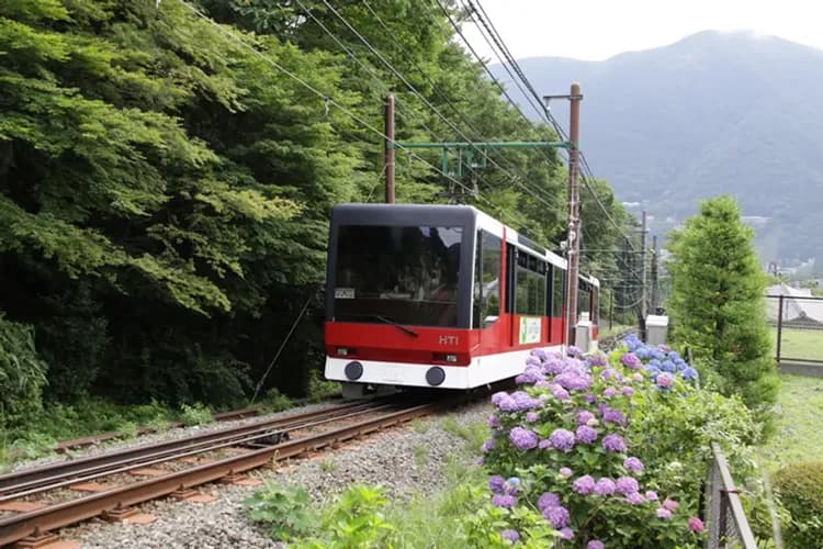 雙宿東京|雙連泊輕鬆遊.富士山x箱根鐵道x河口湖遊船.敘敘苑.蟹暢食.OUTLET.冬季戲雪雙湯五日|保住箱根御殿場2晚-5