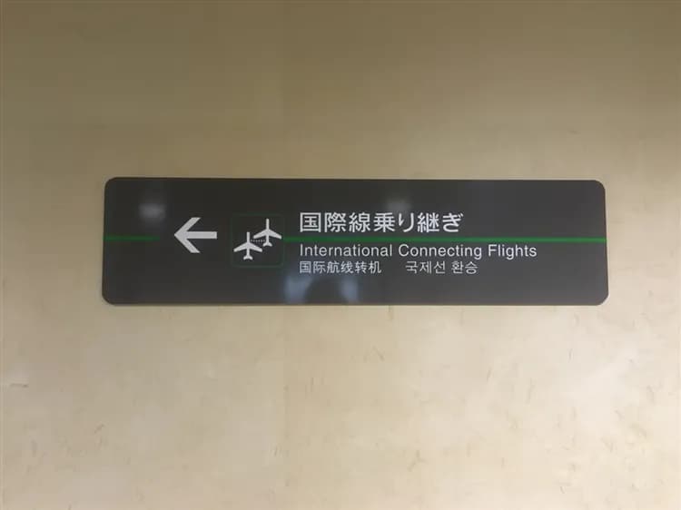 招財東京旅遊|東京迪士尼.奇幻動漫樂園.河口湖.白鳥號.淺草寺.上野阿美橫丁購物溫泉五日-9