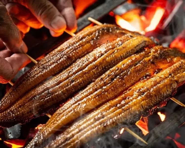 日式蒲燒鰻魚飯