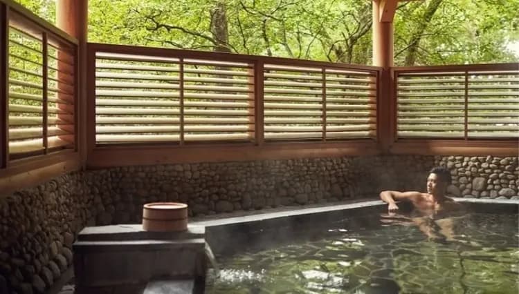 賀歲-3000|東京|保住一晚山中湖萬豪.迪士尼.富士急樂園.和牛燒肉.箱根鐵道.螃蟹戲雪溫泉五日|晚去晚回|高雄來回-7