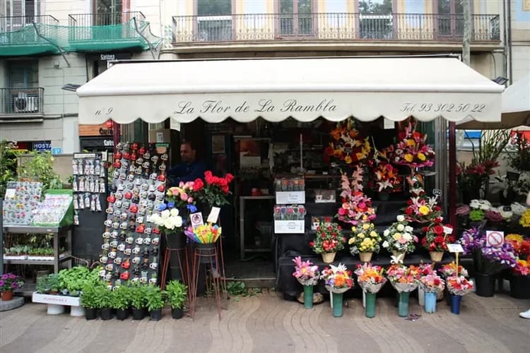 西班牙、葡萄牙旅遊|西班牙朝聖之路終點.北西班牙.龍脊島.里斯本.波多.雙品酒體驗13日-9