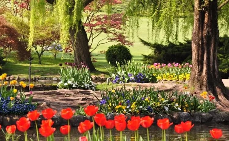 西古爾塔花園,Verona,南歐最美花園,鬱金香花園,Parco Giardino Sigurtà