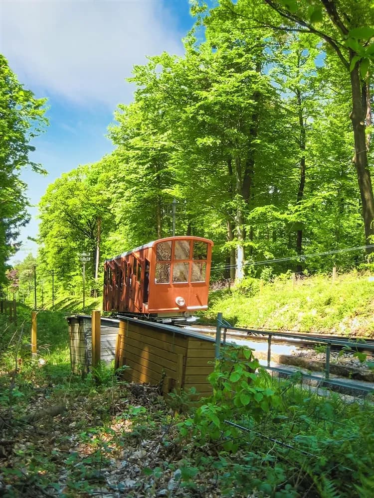 深度雙峰德瑞11日│少女峰.鐵力士山.黃金快車.慕尼黑王宮.圖恩湖遊船.海德古堡.萊茵瀑布遊船.德國童話鎮-17