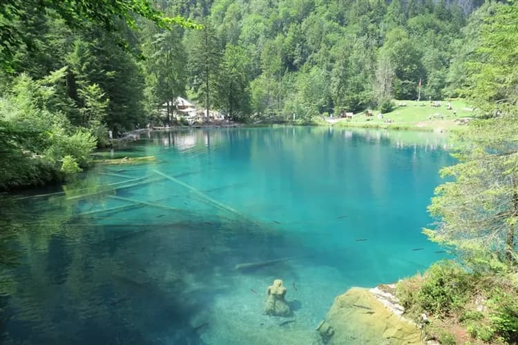 愛戀純瑞士三峰10日|馬特洪峰.少女峰.瑞吉峰.黃金列車.圖恩湖遊船.絕美藍湖.品酒列車.西庸古堡.萊茵瀑布-14