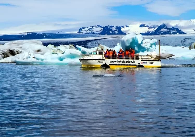 冰島旅遊,傑古沙龍冰河潟湖,傑古沙龍冰河潟湖水陸兩用船
