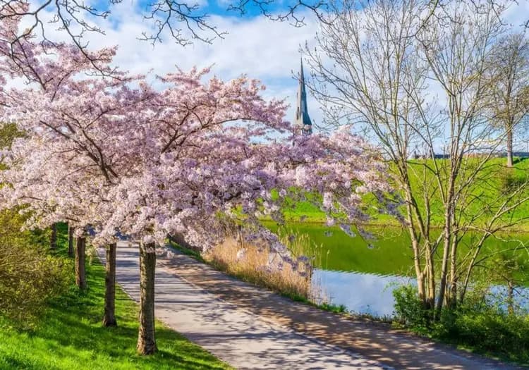 雄獅旅遊,北歐,丹麥,哥本哈根旅遊,哥本哈根景點,朗格麗尼公園