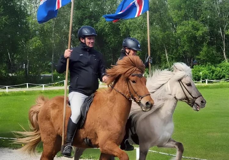 冰島旅遊,冰島馬秀