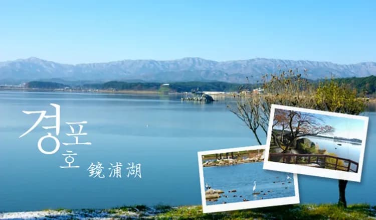 鏡浦臺環湖櫻花道+鏡浦湖(賞櫻)