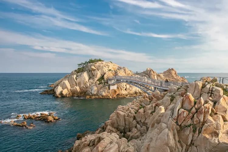 大王岩公園-蔚山賞櫻必去