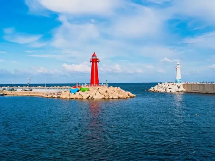 釜邱蔚櫻繽紛~鎮海櫻花祭、無去川賞夜櫻、海岸觀光列車、河回村月映橋五日-6