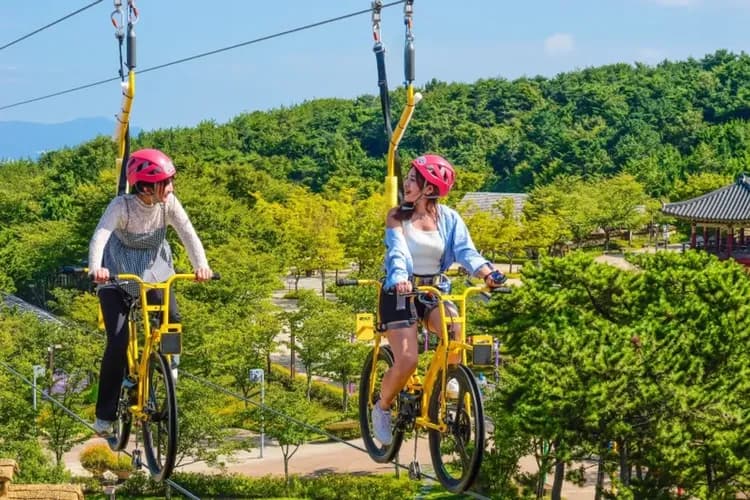 金海加耶主題公園(空中自行車-飛天滑索體驗)-加耶主題公園:四季花園+塗鴉秀+極限挑戰