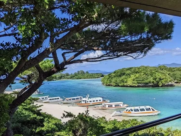 【石垣島川平灣】玻璃船遊覽|含船票+免費停車場|可選班次-7