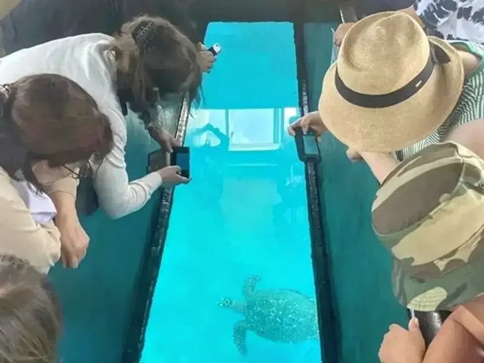 【石垣島川平灣】玻璃船遊覽|含船票+免費停車場|可選班次