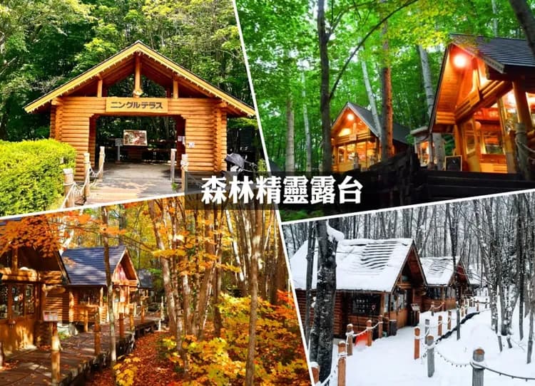 銀雪幸福北海道四溫泉7日.森林精靈露台.戲雪7合1.旭山動物園.丹頂鶴.浪漫小樽.長腳蟹美食-6