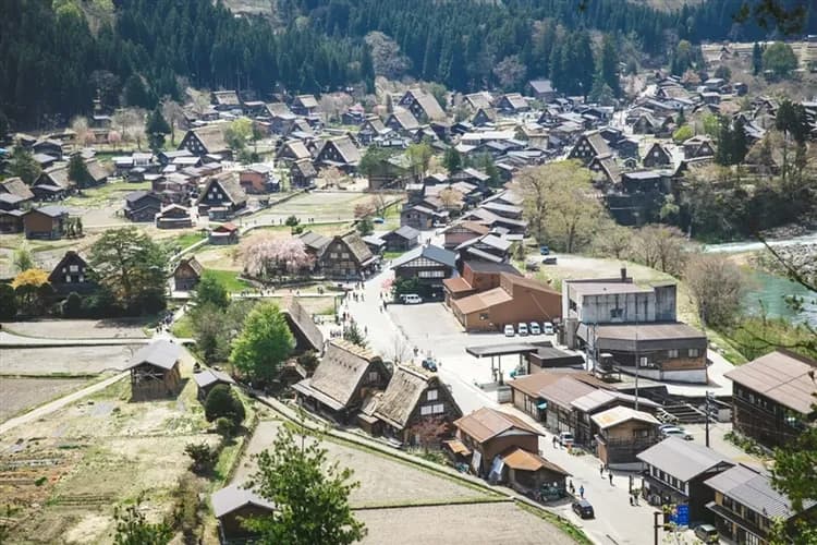 北陸旅遊|台灣虎航名古屋|立山雪牆物語~立山黑部.仙境上高地.伊勢神宮.伊勢龍蝦美食溫泉六日|保住白川結之庄|高雄來回-8