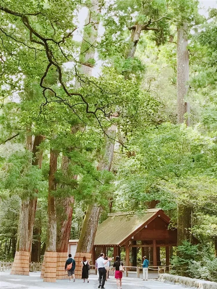 北陸旅遊|台灣虎航名古屋|立山雪牆物語~立山黑部.仙境上高地.伊勢神宮.伊勢龍蝦美食溫泉六日|保住白川結之庄|高雄來回-6