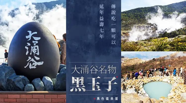 春櫻東京|一晚A級嚴選飯店.賞櫻名所~小田原城.新倉山淺間公園.山中湖遊船.晴空塔.敘敘苑燒肉五日|二晚溫泉|高雄來回-8