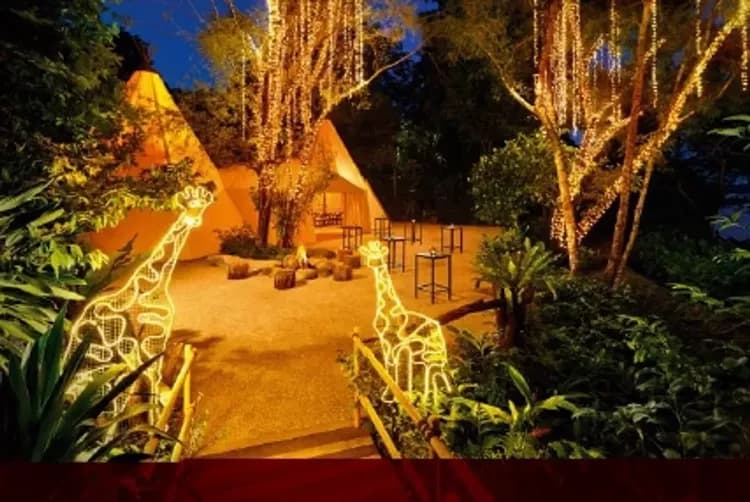 夜間動物園(帳篷星光野宴包場)