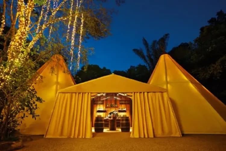 夜間動物園(帳篷星光野宴包場)