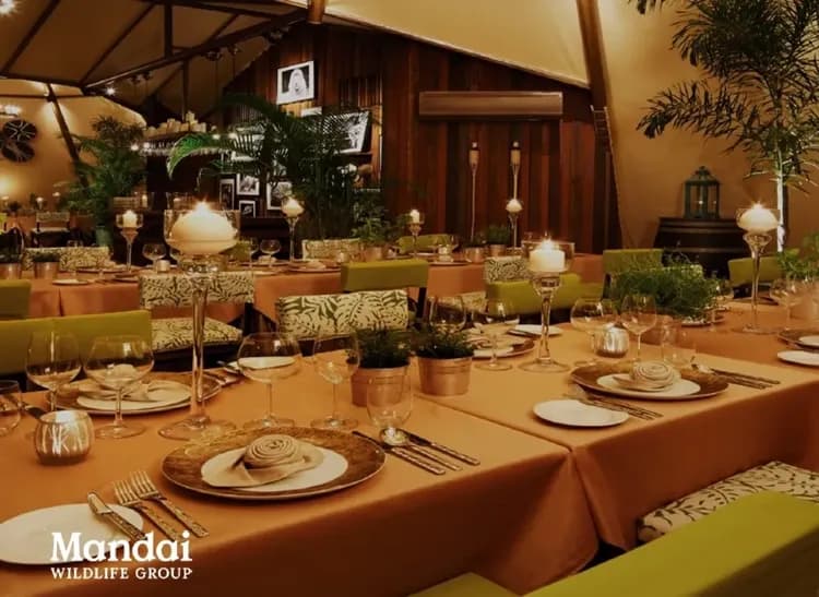 夜間動物園(帳篷星光野宴包場)