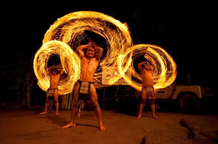 新加坡夜間動物園(含遊園車)