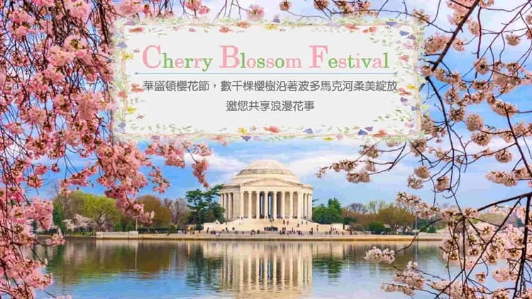 華盛頓櫻花節(3/20-4/13)