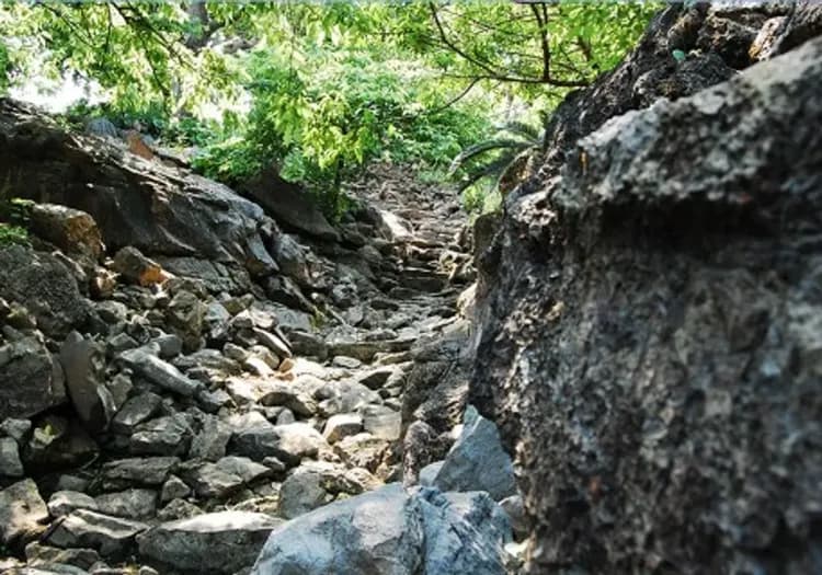 世界文化遺產《今歸仁城跡》