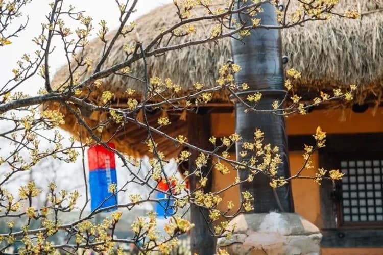 瑞山海美邑城(訪韓安心景點125選)