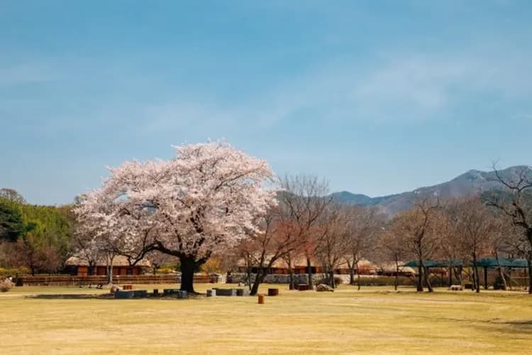 瑞山海美邑城(訪韓安心景點125選)