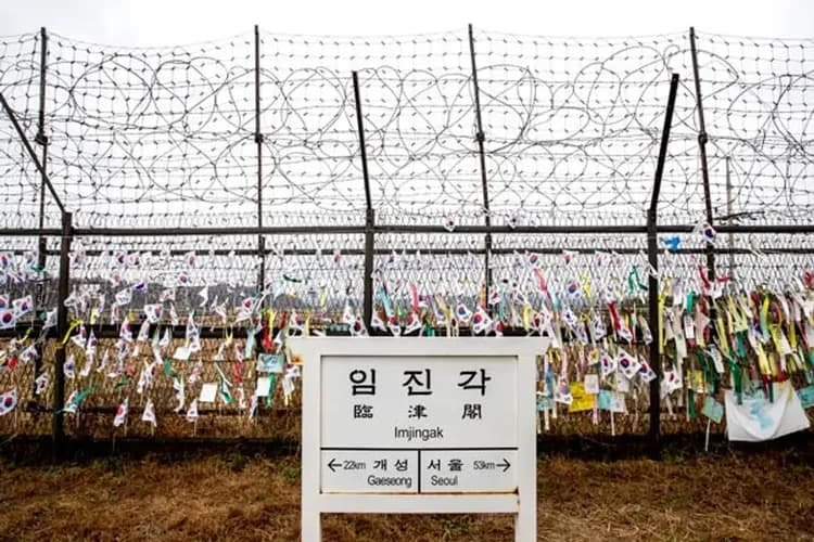 神秘38度線非武裝地帶(臨津閣+自由之橋+和平鐘+和平公園)