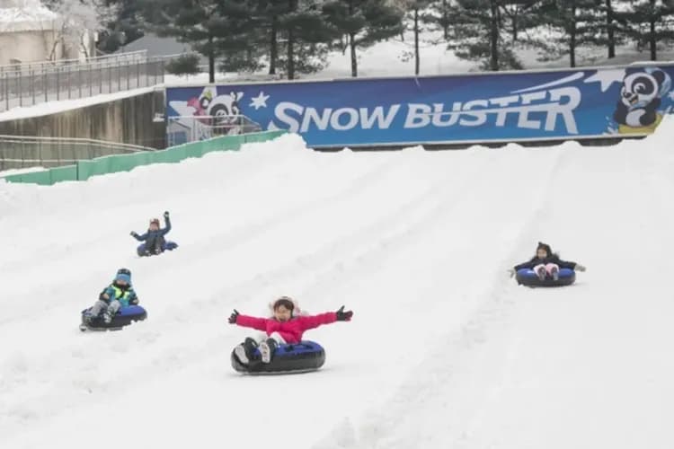 愛寶樂園(園區內雪盆體驗)