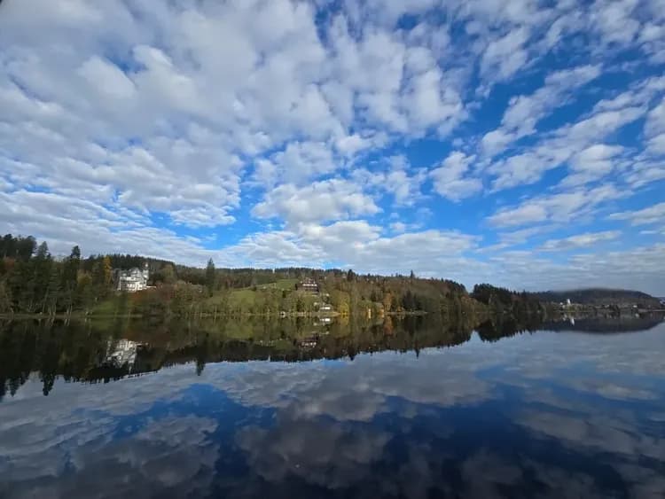 鬱金香花季泛歐河輪萊茵采風+綺麗阿爾卑斯12日-12