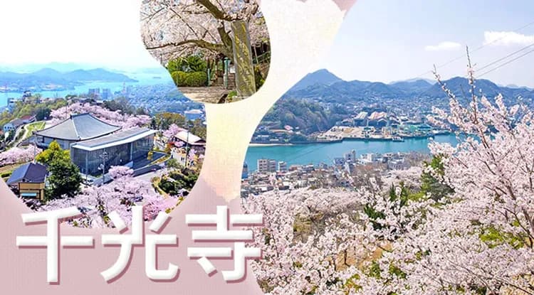 春櫻松山四國|百選賞櫻景點~松山城、丸龜城.琴彈公園.日本三大名園~岡山後樂園.米其林星級~栗林公園.金刀比羅宮.千光寺纜車.秘境遊船.道後溫泉街.outlet六日-9