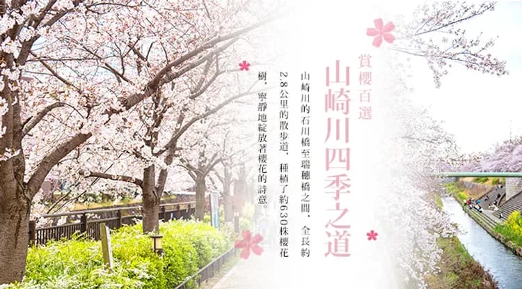 北陸漫遊|賞櫻百選~新境川堤百十郎櫻.山崎川.鶴舞公園.長良川花見鐵道.合掌村.飛驒牛.高山.國寶犬山城.山車館.三光稻荷.溫泉6日-6