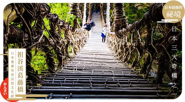 春櫻四國|賞櫻名所~栗林公園.松山城.峽谷大步危遊船.入住道後溫泉五日|台中出發-10